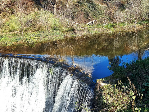 quinta do lagar